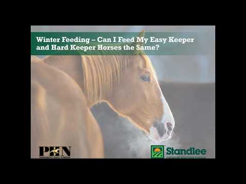 Winter Feeding – Can I Feed My Easy Keeper and Hard Keeper Horses the Same?
