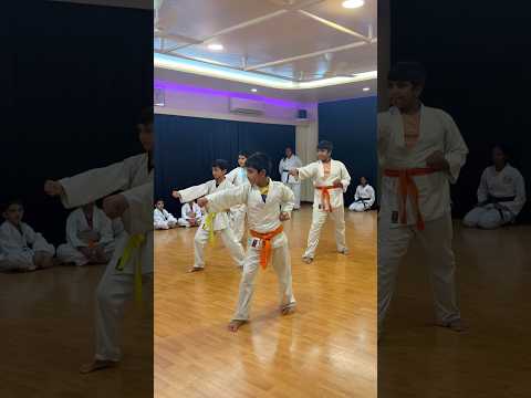 Japanese Karate | Discipline | Strength | Focus |