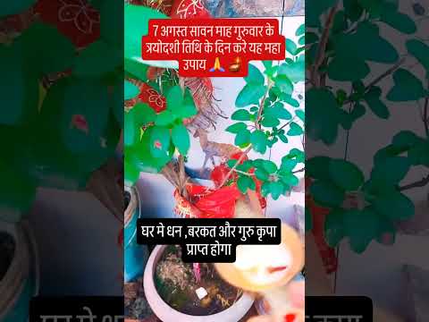 7 अगस्त सावन माह के गुरुवार त्रयोदशी तिथि को करे यह उपाय 🪔🙏#upay #शिव #pradeepmishrajidhankeupay