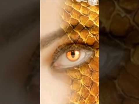 Naagin ki Nazar part 3 #ultimatenaagin #naagin