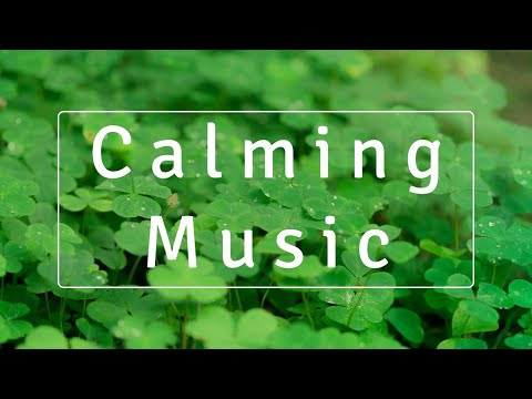 Calming Music Meditation | Relaxing Spa Music | Soothing Massage Music | Healing and Wellness Music