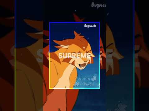 1k special!!! (Finally😭) #warriors #warriorcats #catswarrior #edit #cat #1k #fyp #1ksubscribers