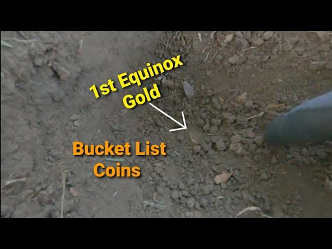 My 1st Equinox 800 Gold & Bucket List Coins #3