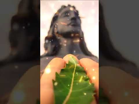 jai mahakal.....  kedarnathstatus sukoon♥️❤️✨please like and   subscribe 🙏🙏🙏