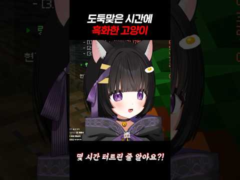 고양이 극대노!!!!!!!!! #클로배서버 #Vtuber #버튜버 #新人vtuber #shorts