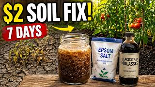The $2 Garden Mix That Revives Dead Soil in 7 Days