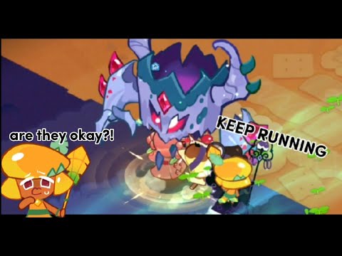 Is this a cookie alliance bug? | Cookie Run Kingdom |