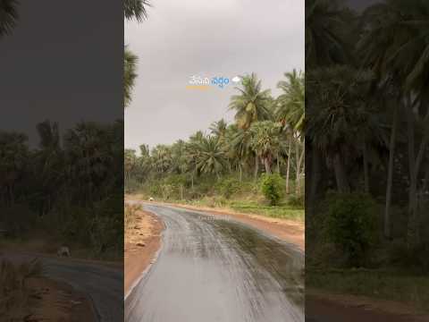 When summer burns the earth, rain comes like a blessing—unexpected, unforgettable.#summertime #short
