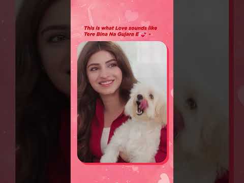 This is what LOVE sounds like - #TereBinaNaGujaraE #JoshBrar #Punjabisong #ytshorts