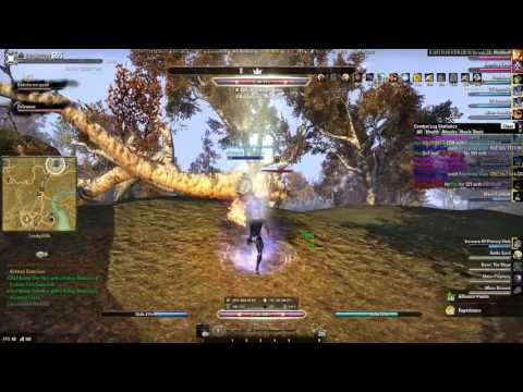 ESO PvP: DWSorc/StamDK 2vX Quality over Quantity