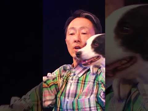 Dog Dancing Melts Judges' Hearts Away