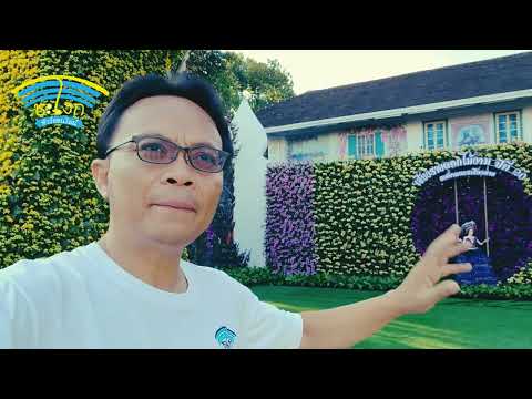 Vlog เชียงรายเมืองดอกไม้งาม 2024 หนึ่งในของดีเมืองเชียงราย