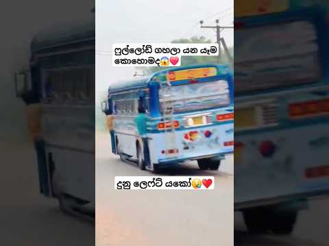 ලොඩ් එක කොහොමද❤️😱 #busworld#automobile #newbusvideo#vahicles#slvehicles #dhamrejini#trending#driver