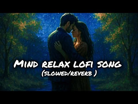 Teri Baahon Mein Best Hindi Lofi Song | Mind Relaxing Chill Beats 2025 #music