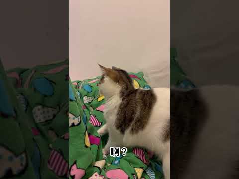 你還刨！