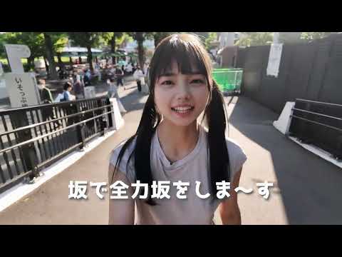 閉園間際の動物園に行ってみたら