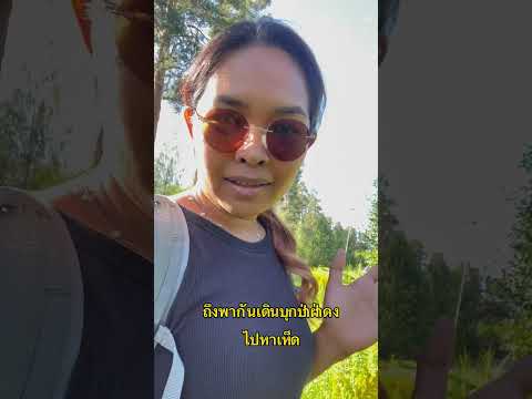 #สวีเดน มีงูไหม เข้าป่า #หาเห็ด ไม่กลัวงูกัดหรอ #คนไทยในต่างแดน #ธรรมชาติ ที่นี้อยู่ง่าย กินง่าย