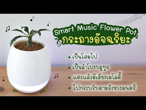 รีวิว Smart Music Flower Pot กระถางต้นไม้เสียงดนตรี | แม่โบโชว์ของ