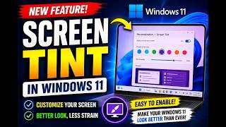 Windows 11's New Screen Tint Feature is Amazing Here's How to Use It
