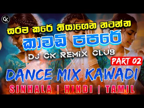 2024 New Sinhala Dj Nonstop | Sinhala Remix | Sinhala New Dj Remix | Sinhala Best Songs Collection
