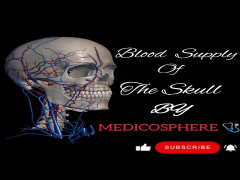 BLOOD SUPPLY OF THE SKULL BY MEDICOSPHERE 🩺.