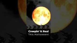 Creepin It Real This Halloween! Full Blood Moon Animated Halloween Digital Video Greeting Card