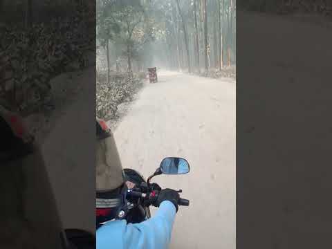 #my_first_vlog_on_youtube #vlogs #shortvideo #shorts@indiantreder डेली नया जंगल वीडियो upload 👏