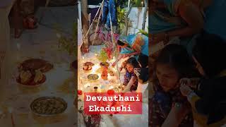 #tulasivivah #devuthaniekadashi #kartikmass #viralvideo #shorts