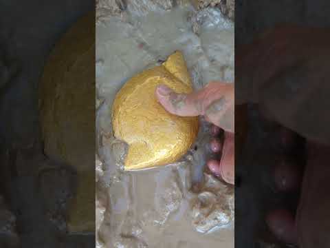 search for the biggest gold in the world #goldhunter #minergold