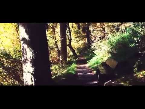 ნიკ მღვიმელი და ცუდი თესლი - wood trip