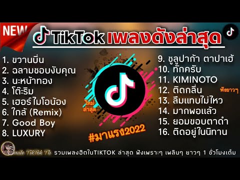 รวมเพลงMAN'Rล่าสุด รวมเพลงฮิตในTikTokล่าสุด
