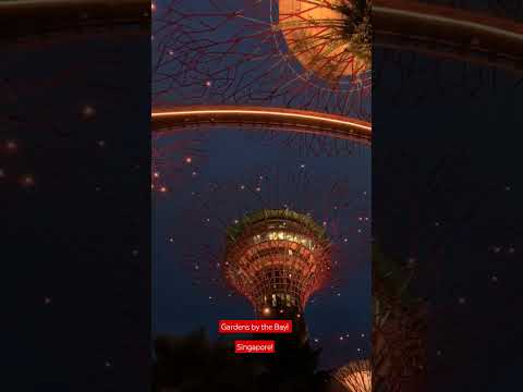 Gardens by the bay! #beautifulasia #singaporetravel#travel #एक्सपलोरेसिंगापुर#viral #travelsenseasia