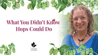 Hops Benefits for Metabolic Health