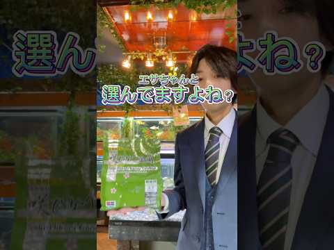 冬場はエサをしっかり選んで下さい！間違ったエサの与え方をすると一気に体調を崩してしまいます！#金魚#金魚飼育#長野県