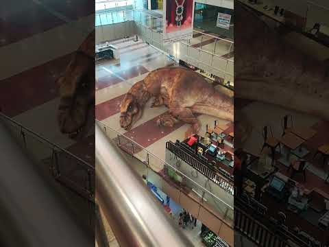 Giant T-Rex Resting In Mall 🦖 #trex #shorts