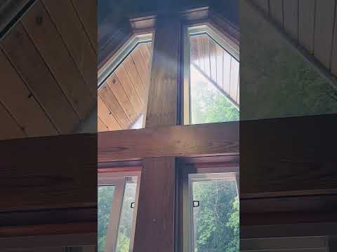 Rainy Day #rainsounds #rainyday #spring
