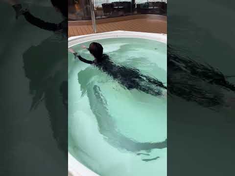 チャンネル登録者数減ってきて逆にやる気上がった笑#深澤辰哉