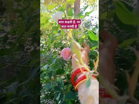 बात कड़वी है पर बात सच्ची है #motivation #viralvideo #shortvideo