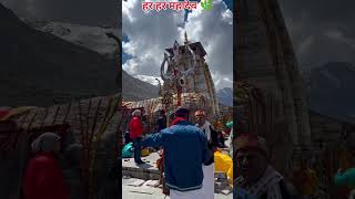 tera vishnu bhi Diwana Tera 🌿🌿🙏🎉 #bholenthbhajn #kedarnath #mahakal #shivbhaj