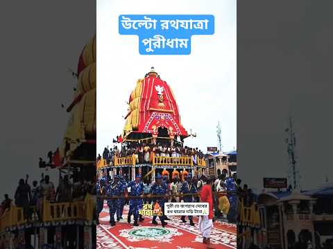 উল্টো রথযাত্রা পুরীধাম #রথযাত্রা #পুরী #2025 #jagannathpuri #rathyatra