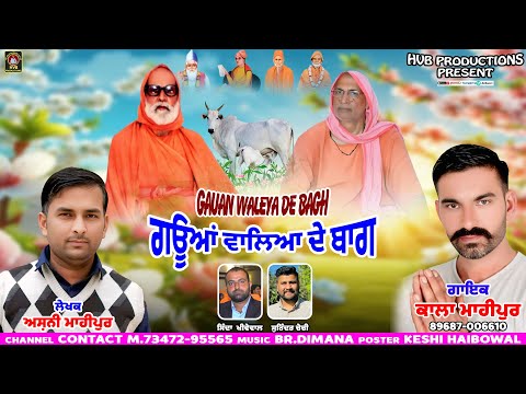 GAUAN WALEYA DE BAGH || ਗਊਆਂ ਵਾਲਿਆ ਦੇ ਬਾਗ || KALA MAHIPUR || ASHNI MAHIPUR || HVB PRODUCTIONS