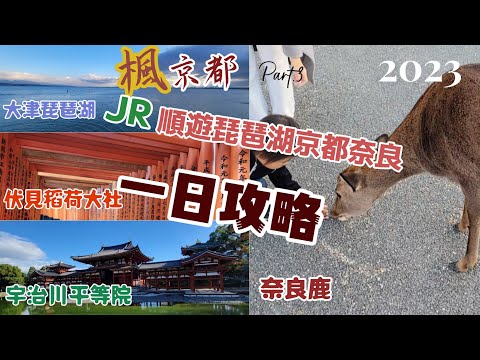 【2023楓京都第三日Vlog】日本賞楓祭一日遊琵琶湖伏見宇治奈良攻略.大津琵琶湖.伏見稻荷大社.千本鳥居.奈良公園餵鹿.東大寺