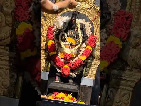 Murugan songs dj #murugansongs #kandhankarunai #muruga #murugantemple #velmuruga #vetrivelmuruga