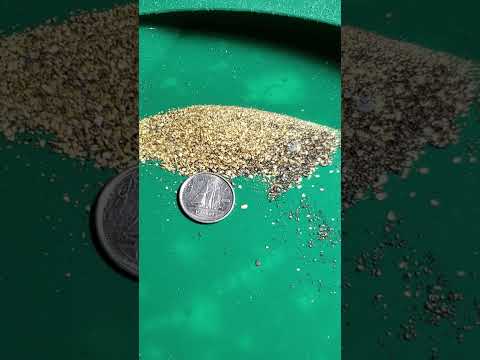 Platinum Group Metals & Gold Clean Up from Weekend of Highbanking in BC