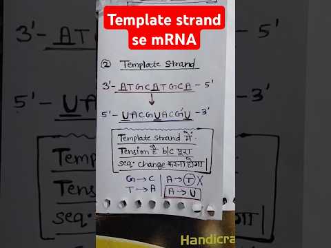 Template strand se mRNA NEET QUESTION molecular biology (part-5) #shorts #tricks #ytshorts