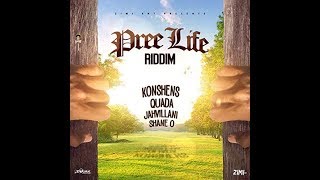 Pree Life Riddim Mix (2020) {Zimi Ent} By C_Lecter