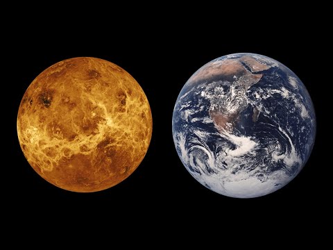 Venus Could Have Supported Life for Billions of Years - Possible signs of life found on Venus