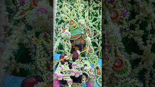 Where Radha-Krishna still perform their leela | Braj Dham Darshan | Vrindavan, Mathura, Gokul, Ba...