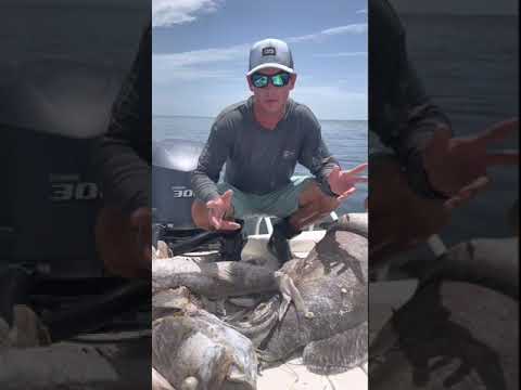 Red Tide Sucks!!!!