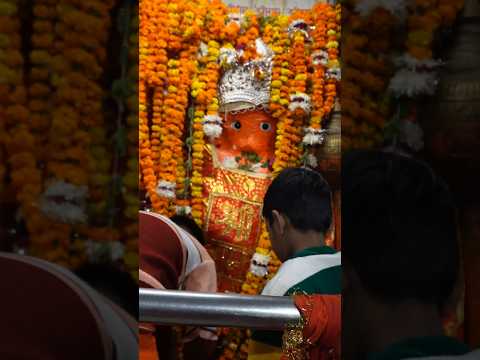 कुड़नी धाम यात्रा 2025 || Icchapurti Balaji #hanuman #darshan #yatra #2025 #shorts